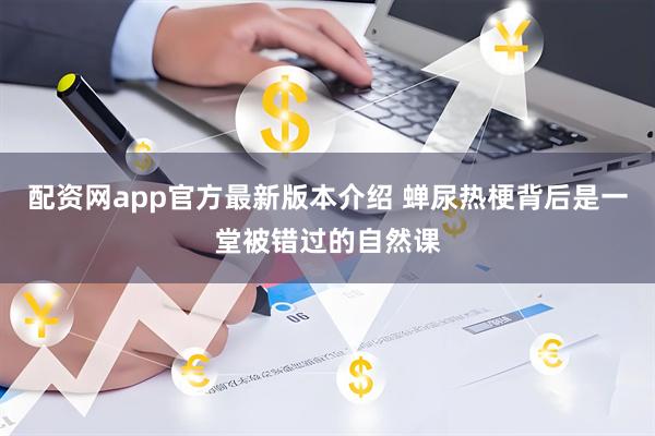 配资网app官方最新版本介绍 蝉尿热梗背后是一堂被错过的自然课