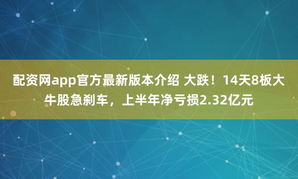 配资网app官方最新版本介绍 大跌！14天8板大牛股急刹车，上半年净亏损2.32亿元